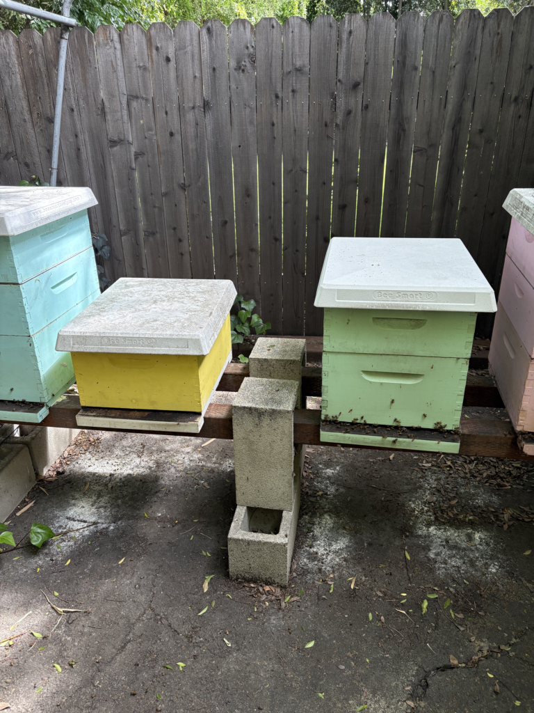 Colorful wooden beehive boxes in green, yellow, and blue are stacked on concrete blocks and 4x4 lumber.