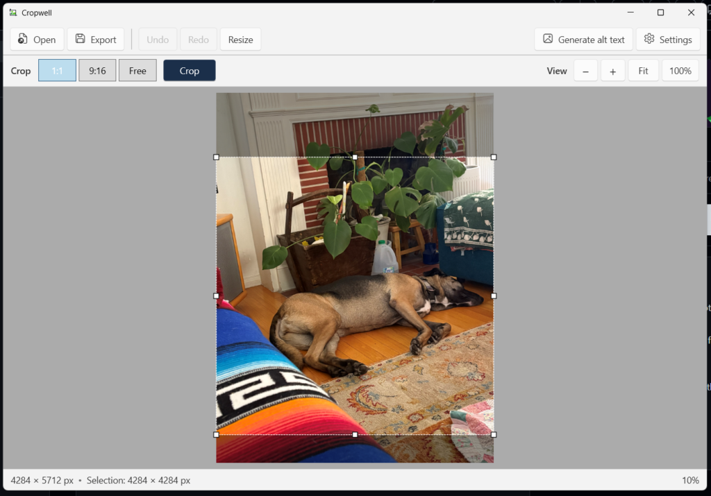 A Windows desktop application window titled "Cropwell," showing a photo being cropped. The toolbar has Open, Export, Undo, Redo, Resize, Generate alt text, and Settings buttons. Below it, the Crop row has aspect ratio options 1:1 (selected), 9:16, and Free, plus a Crop button, and View controls for zoom out, zoom in, Fit, and 100%. The photo shows a tan and black dog asleep on its side on a wooden floor and patterned rug, in front of a red brick fireplace with a large leafy houseplant in a wooden planter. A colorful striped blanket on a couch fills the lower left corner. A dashed square crop selection with drag handles covers the middle of the portrait-orientation photo. The status bar reads "4284 × 5712 px • Selection: 4284 × 4284 px" with zoom at 10%.